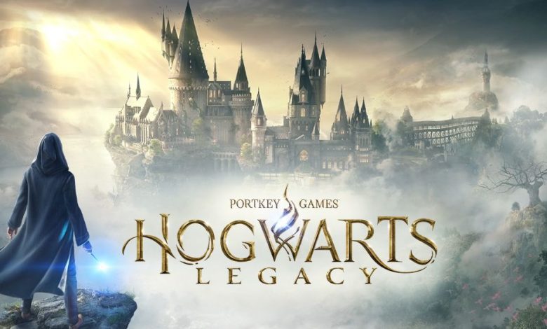 hogwarts legacy mmo